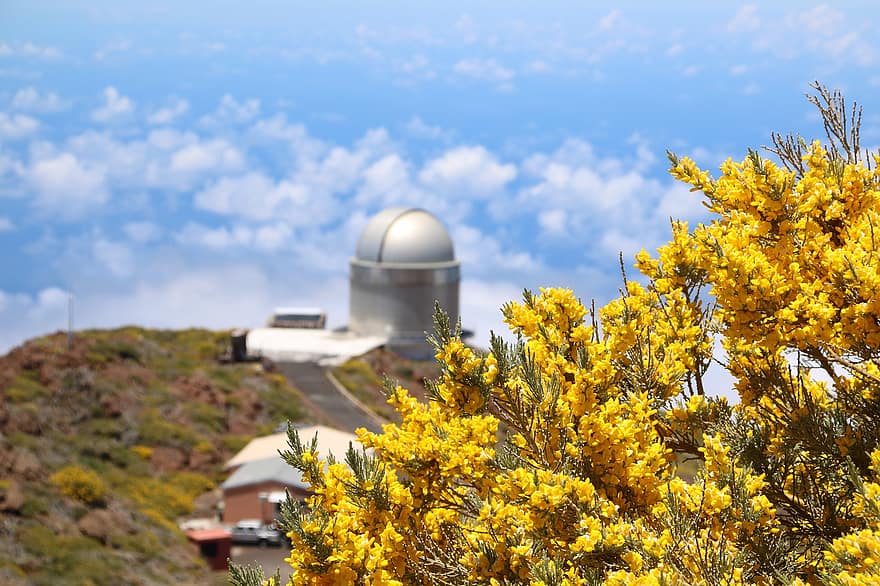 Mountains, Building, Tree, Observatory, La Palma, Roque De Los Muchachos, Canary Islands, Sea, Sky, Clouds, Science