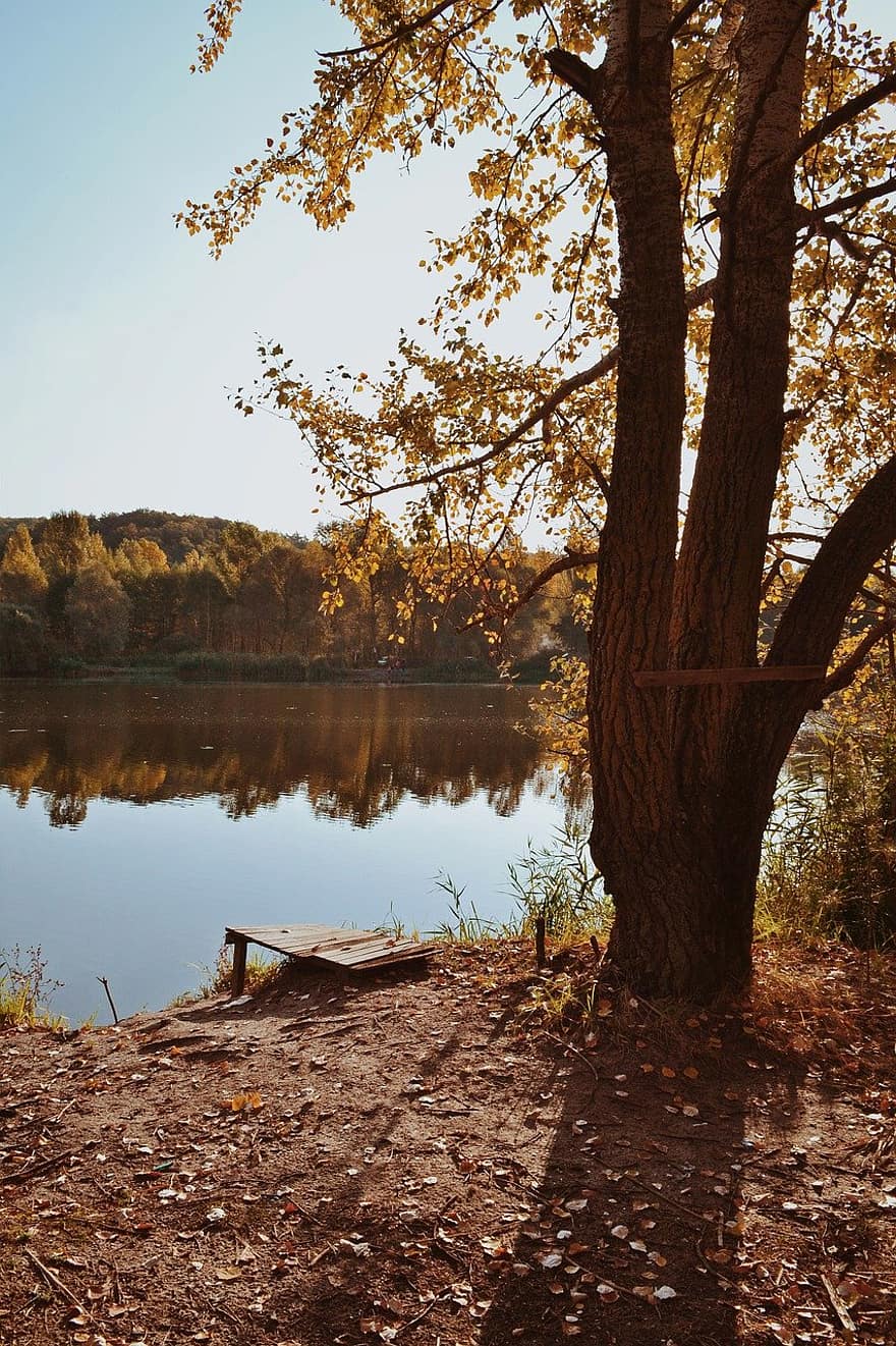 الخريف ، بحيرة ، غابة
