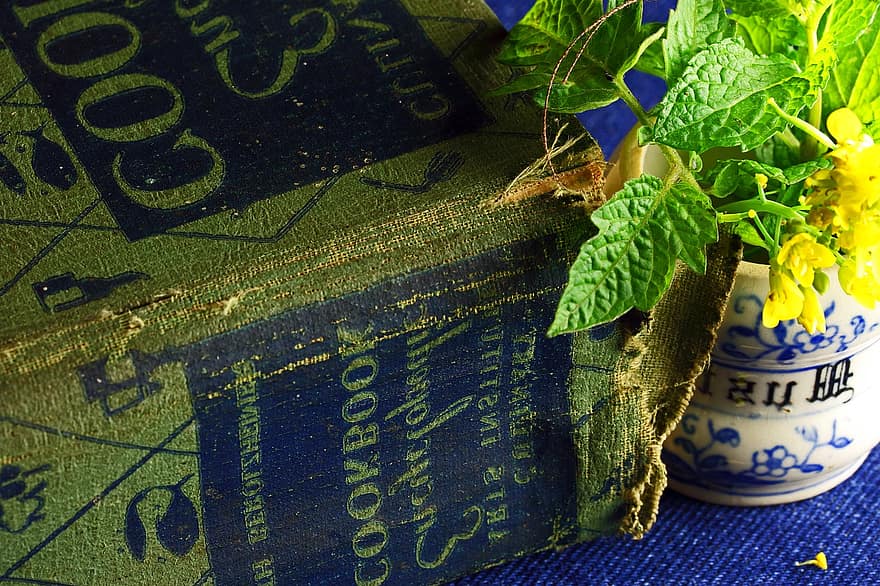 carte de bucate, enciclopedie, Cartea culinara, verdeaţă, frunze, prospeţime, plantă, fundaluri, a închide, floare, albastru