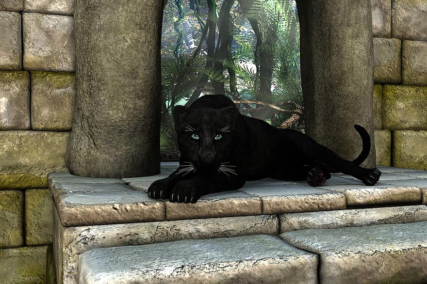 пантера, чорний, містичний, настрій, кішка, Чорна кішка, загрозливий, введення, брехня, почекай, хижак