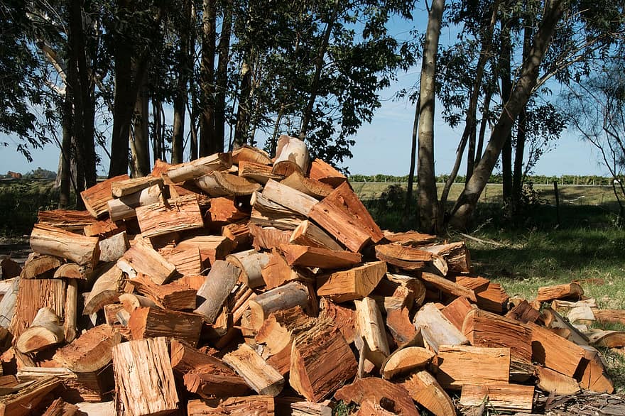 energia, ambiente, fuoco, legna da ardere, silvicoltura, industria, mucchio, materiale grezzo, raccolta differenziata, albero, legna