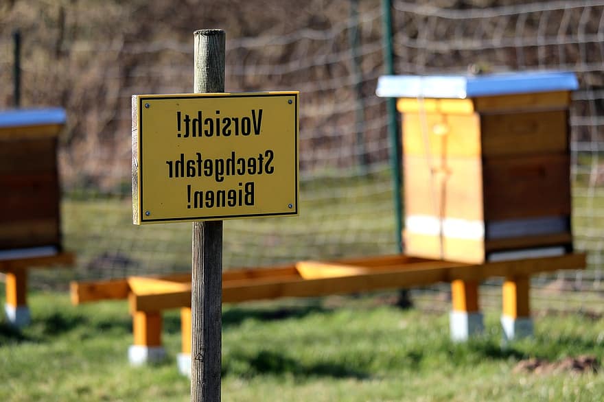 apicultura, precaució, signe, rusc, abelles, insecte, senyal d'advertència, avís, fusta, groc, herba