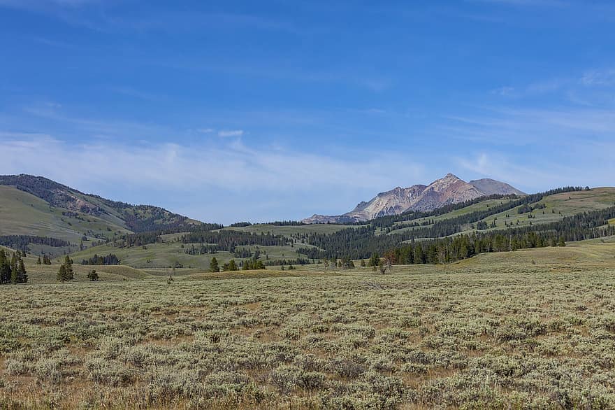 Parque Nacional, natureza, viagem, Yellowstone, mohan, nannapaneni, panorama, ao ar livre, papel de parede, cênico, céu azul
