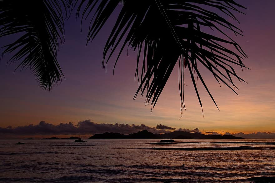 palmeres, oceà, tropical, posta de sol, mar, illa, platja, crepuscle, Seychelles, la digue, anse source d'argent