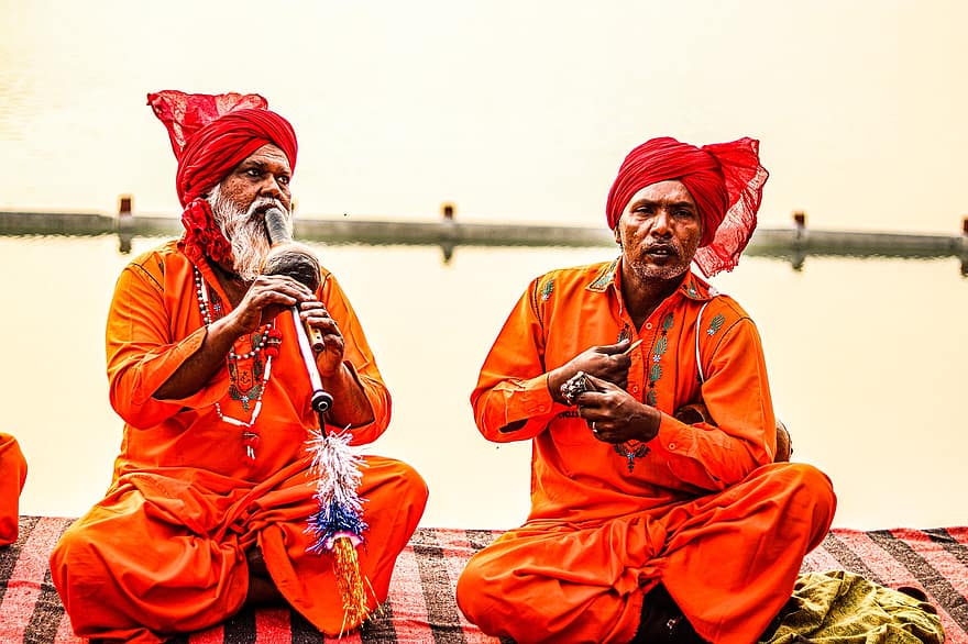 男達、インド人、インドの楽器、インド、楽器、ミュージシャン、音楽、歌、人、ヒンズー教、インド文化