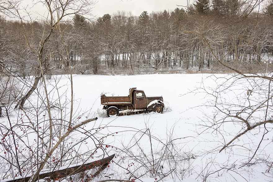 zimowy, las, samochód ciężarowy, pickup, Natura, krajobraz, śnieg, Tapeta, Massachusetts, transport, samochód