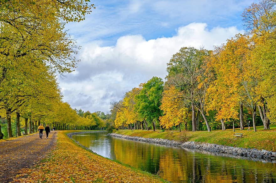 река, декорации, деревья, природа, осень, падать, время года, на открытом воздухе, парк, желтый, дерево
