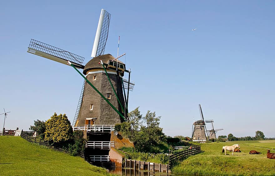vindmølle, mølle, landskabet, Leidschendam, landdistrikterne, græs, holland, landlige scene, gård, historie, gammel