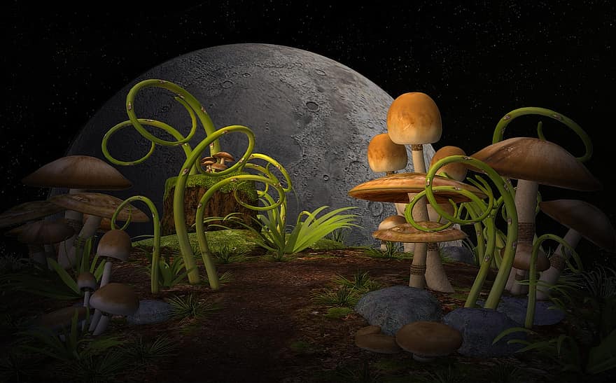 tanaman, jamur, taman, Dunia Mitos, secara ajaib, pertumbuhan, alam, bulan, staf, sihir, jamur hutan