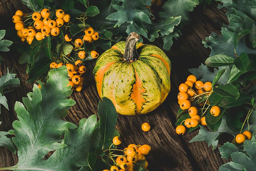 kabak, sebze, üretmek, hasat, organik, taze, sukabağı, cadılar bayramı, sonbahar, Gıda, dekorasyon