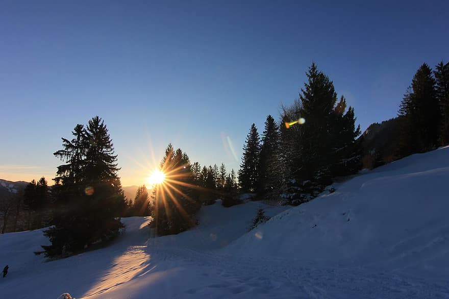 Schnee, Winter, Berg, Alpen, Sonnenuntergang, Sonne, Landschaft, Natur, Bäume, Wald, draußen