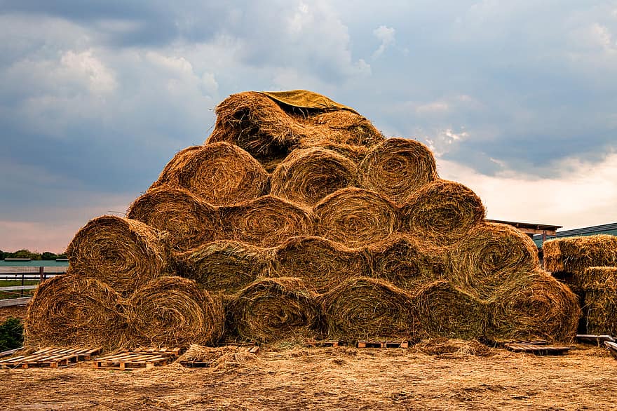 Hay Bales, Stack, Farm, Round Bales, Hay, Pile, Harvest, Rural