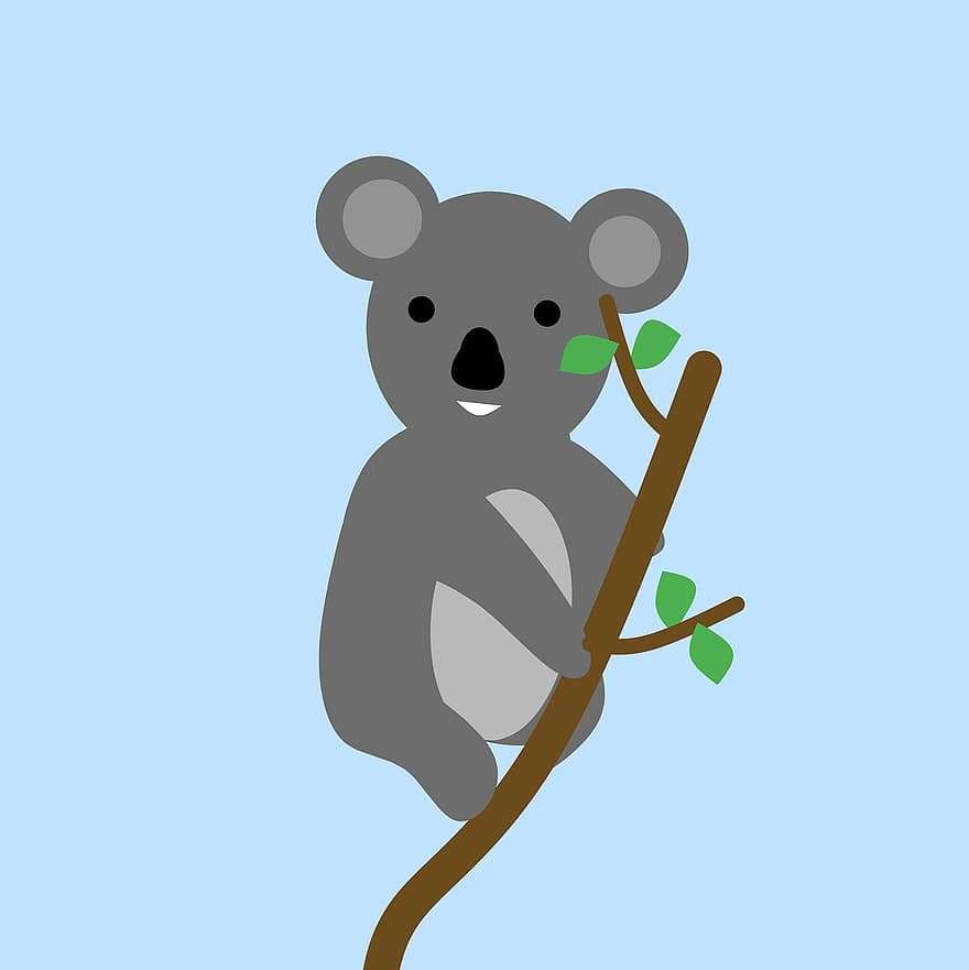 koala, eucalyptus, dyr, Bjørn, klatring, tre, natur, Australia, eukalyptustre, Koala bjørn, sitter