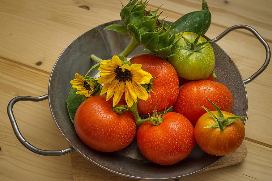 tomates, frutas, Comida, girassol, ainda vida, panela, fresco, saudável