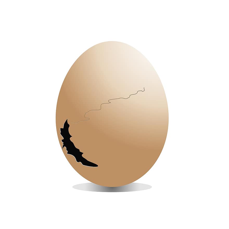 huevo, roto, blanco, aislado, fondo, agrietado, pollo, cáscara, Pascua de Resurrección, sano, comida