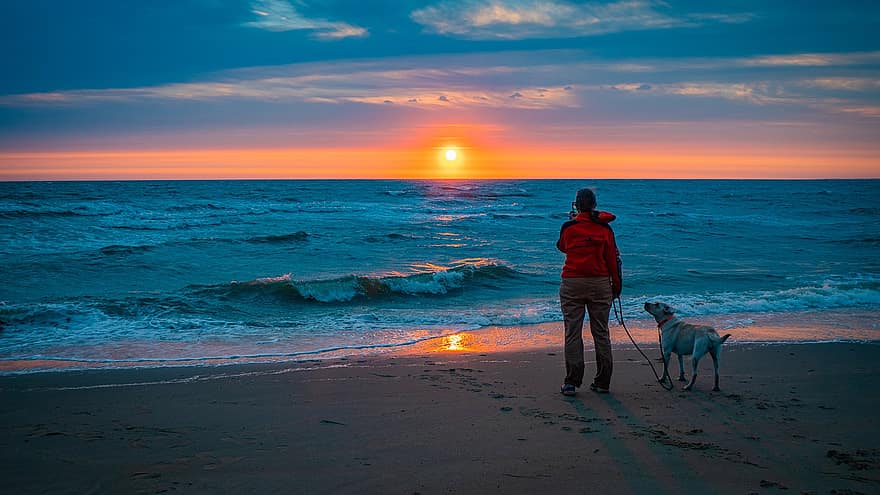 solnedgang, strand, person, hund, ledsager, venner, sand, kysten, kyst, kystlinje, bølger