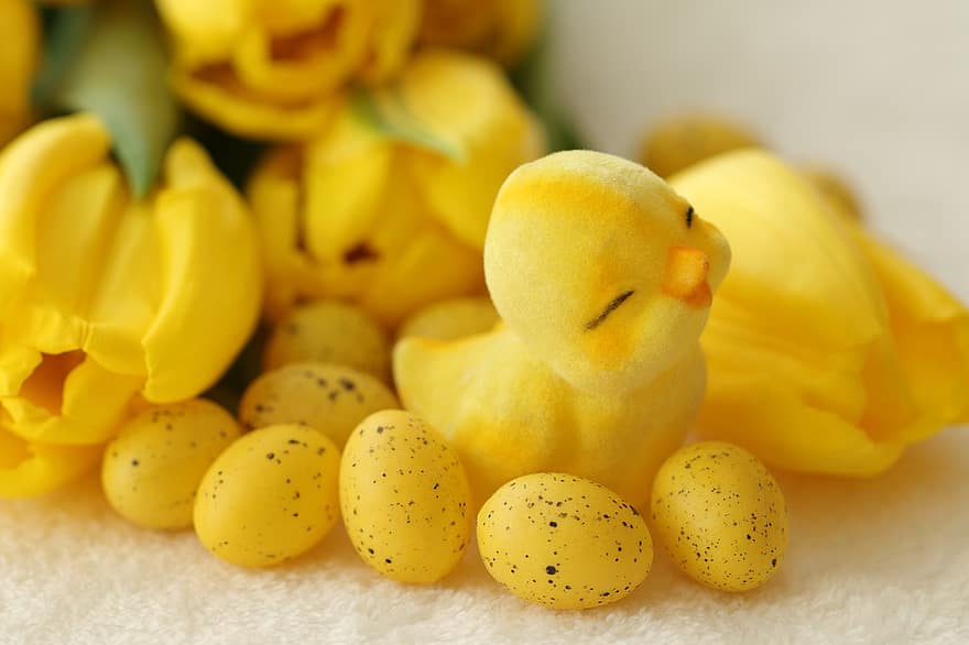 viščiukas, kiaušiniai, gėlės, Velykų, linksmų Velykų, Velykų dienos, Velykų dekoravimas, tulpės, geltonos tulpės, geltonos gėlės, pavasaris