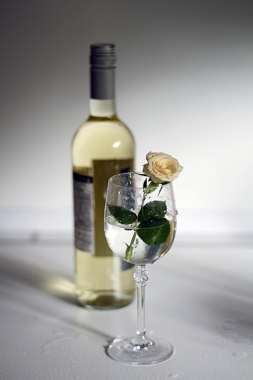 vi, vidre, rosa, flor, aigua