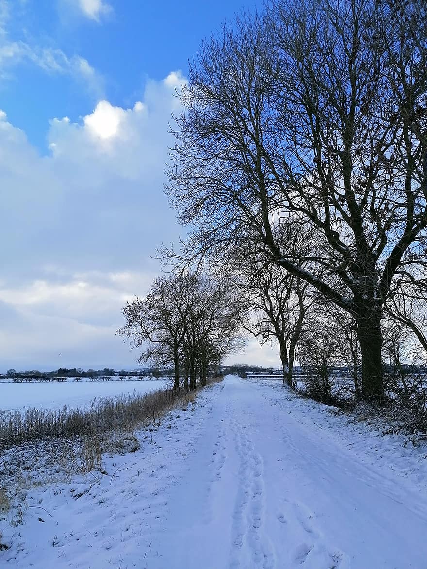зима, сніг, дорога, краєвид, зимовий, сніговий, холодний, шлях, дерева, природи