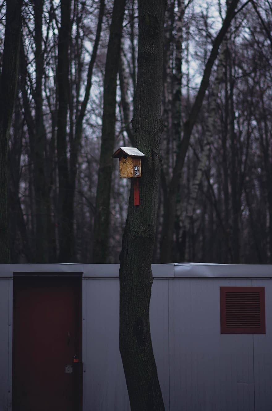 vogelhuisje, boom, natuur, park