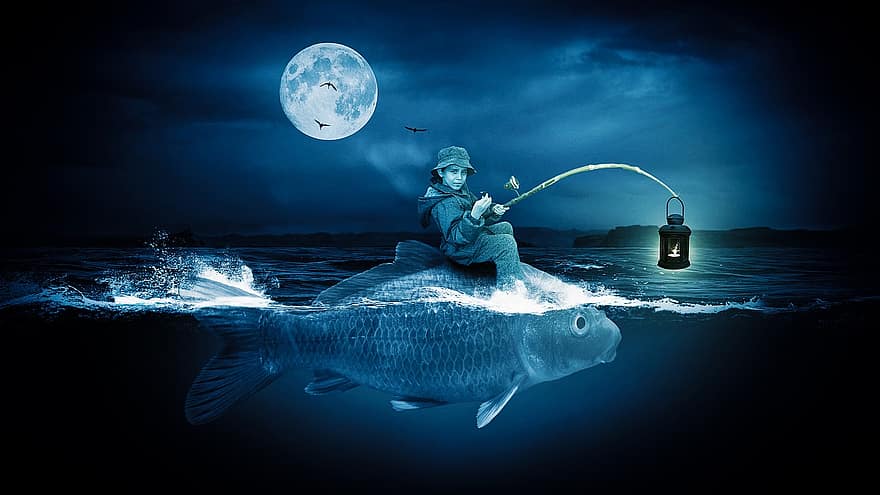カエル、魚、釣り人、海、水、夜