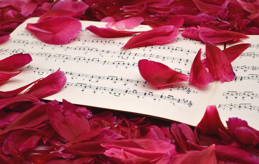 Blütenblätter, Notenblätter, Lieder, Noten, Liebeslieder, Konzert, Liebe zur Musik, Frühling, Blüten, Chor, Liebe