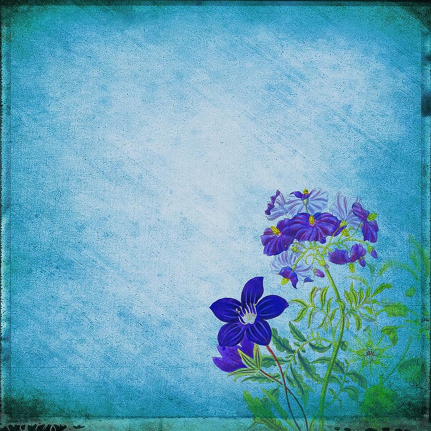 พื้นหลัง, ดอกไม้, ช่อดอกไม้, สีน้ำเงิน, ธรรมชาติ, อัลบั, กระดาษ, มีสีสัน, สีน้ำ, ย้อนยุค, เหล้าองุ่น