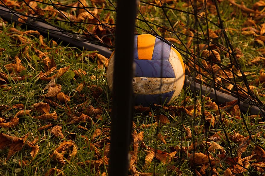 volejbols, futbols, mērķis, ārā, rudenī, bumba, sportu, dzeltens, zāli, lapas, tuvplāns