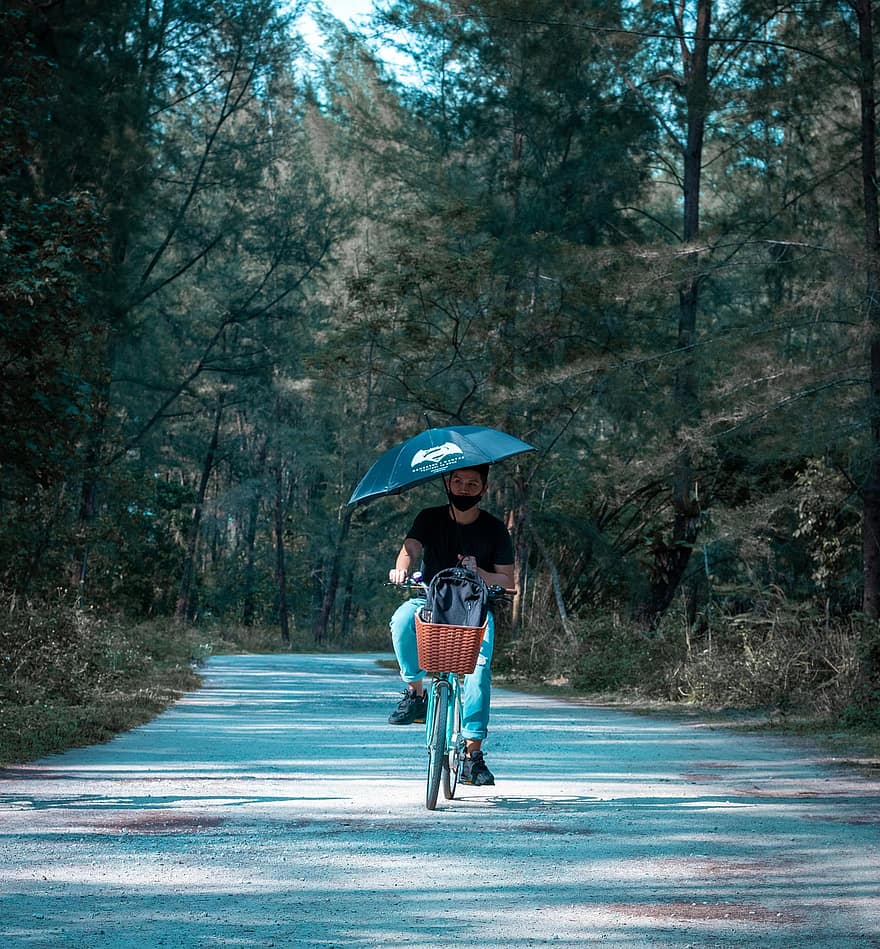 homem, ciclismo, guarda-chuva, trilha, floresta, frio, ilha, Cingapura, comutar, ensolarado