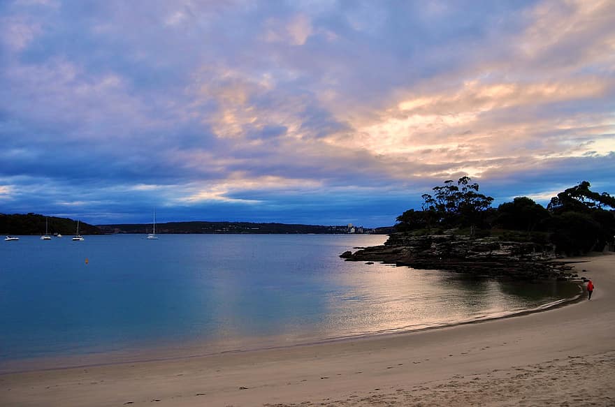 シドニー、ランドマーク、あたたかい、ピンク、オレンジ、綺麗な、日の出、自然、オーストラリア、ケイトブランチ、朝