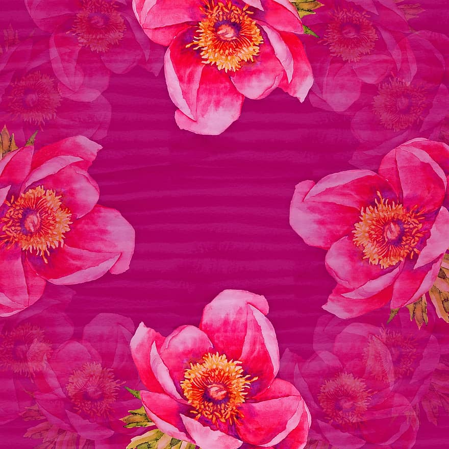 Rosa, flores, fronteira, quadro, Armação, quadro floral, borda floral, flores cor de rosa, floral, scrapbooking, scrapbooking digital, papel de parede