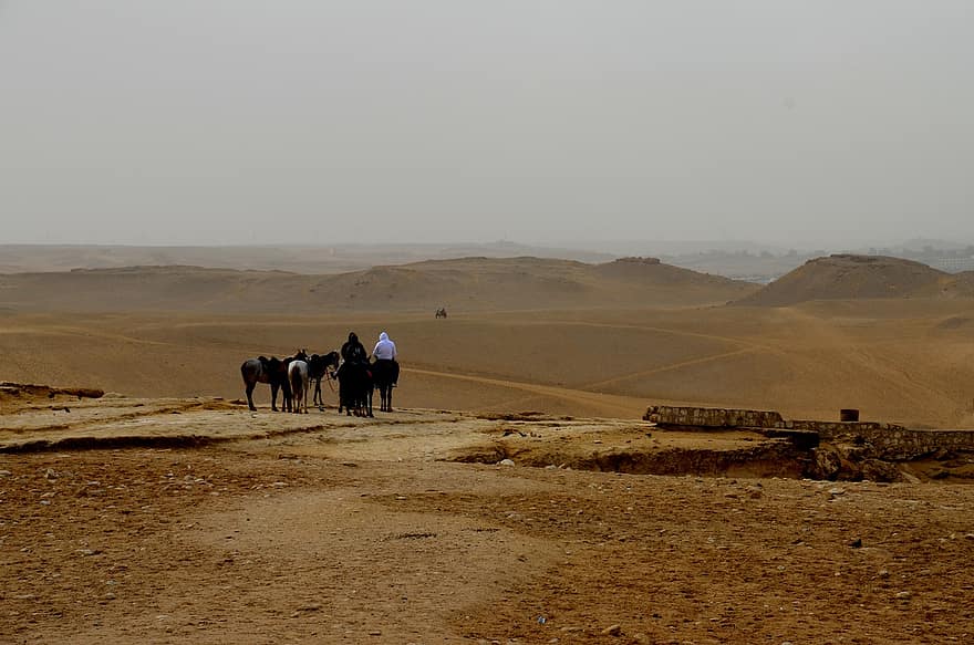 Egipte, desert, sorra, cavalls, viatjar