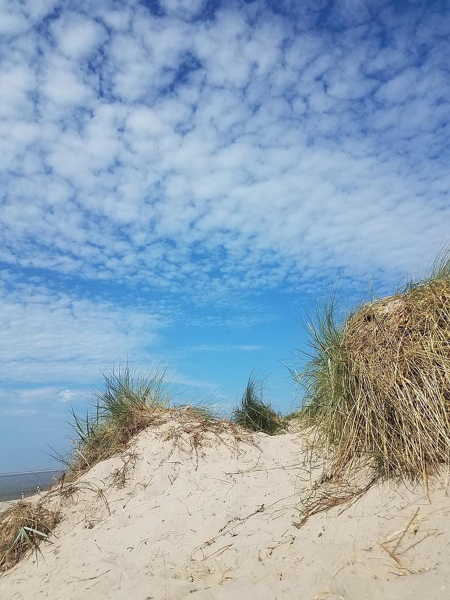 plajă, nisip, dună, nori, cer, lânos, iarbă