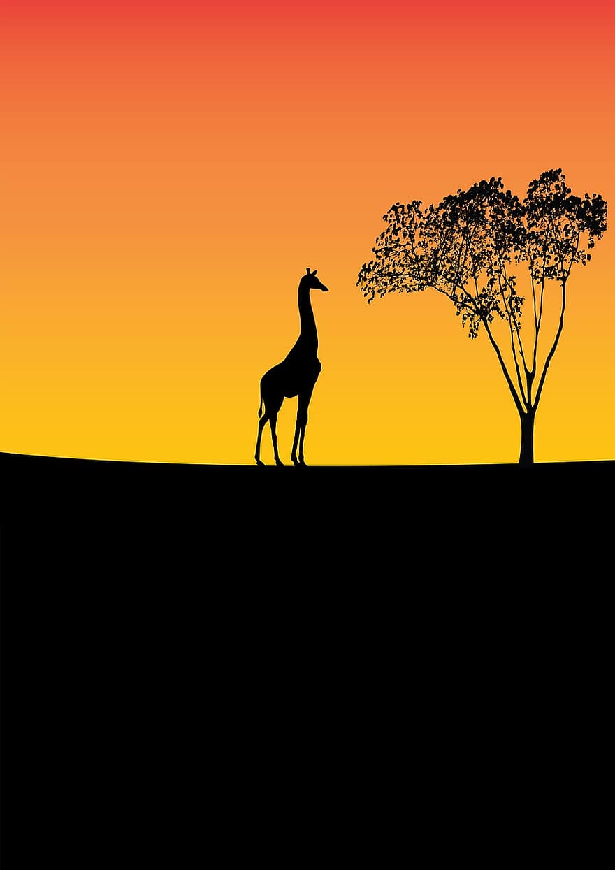žirafa, volně žijících živočichů, strom, Příroda, zvíře, divoký, Afrika, zachování, Černá, žlutá, oranžový