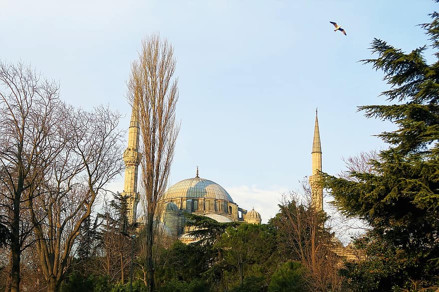 cami, arkitektur, minaret, kupol, islam, religion, istanbul, byggnad, stad