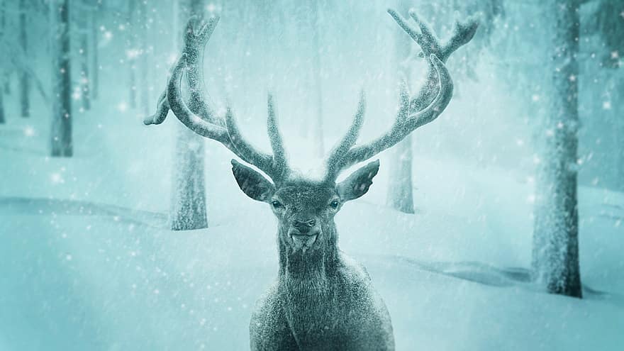 rusa kutub, salju, hutan, musim dingin, fantasi, tanduk, hewan, margasatwa, hari Natal, waktu Natal, dongeng