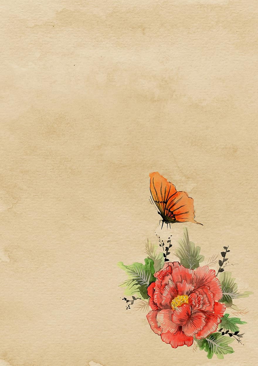 sfondo, carta, asiatico, fiore, farfalla, pergamena, pagina, album, acquerello, rosa, rosso
