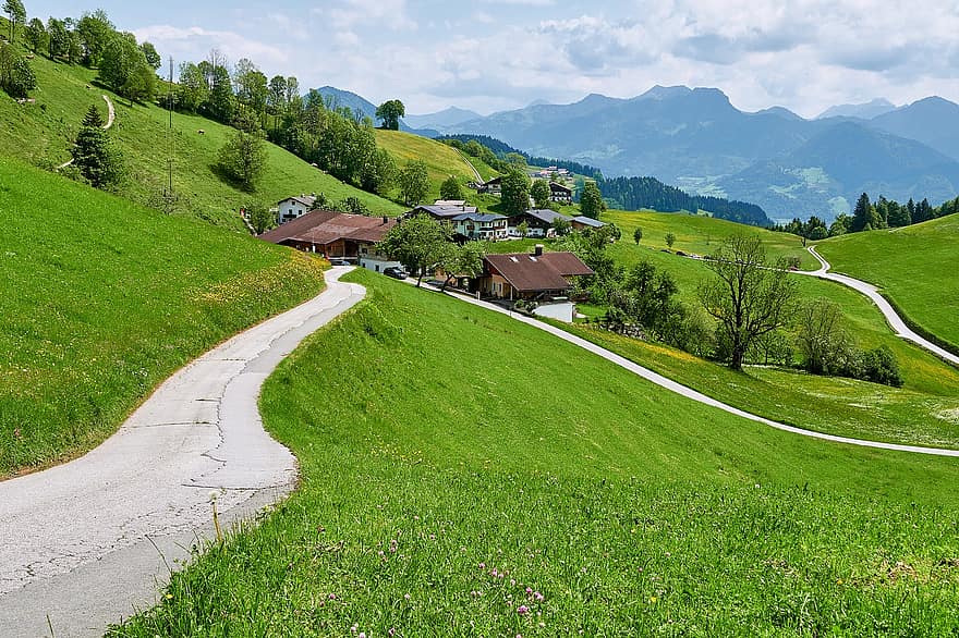 prato, alm, erba, prato alpino, montagne, Alpi, Austria, rurale, agricoltura, cortile della fattoria, natura