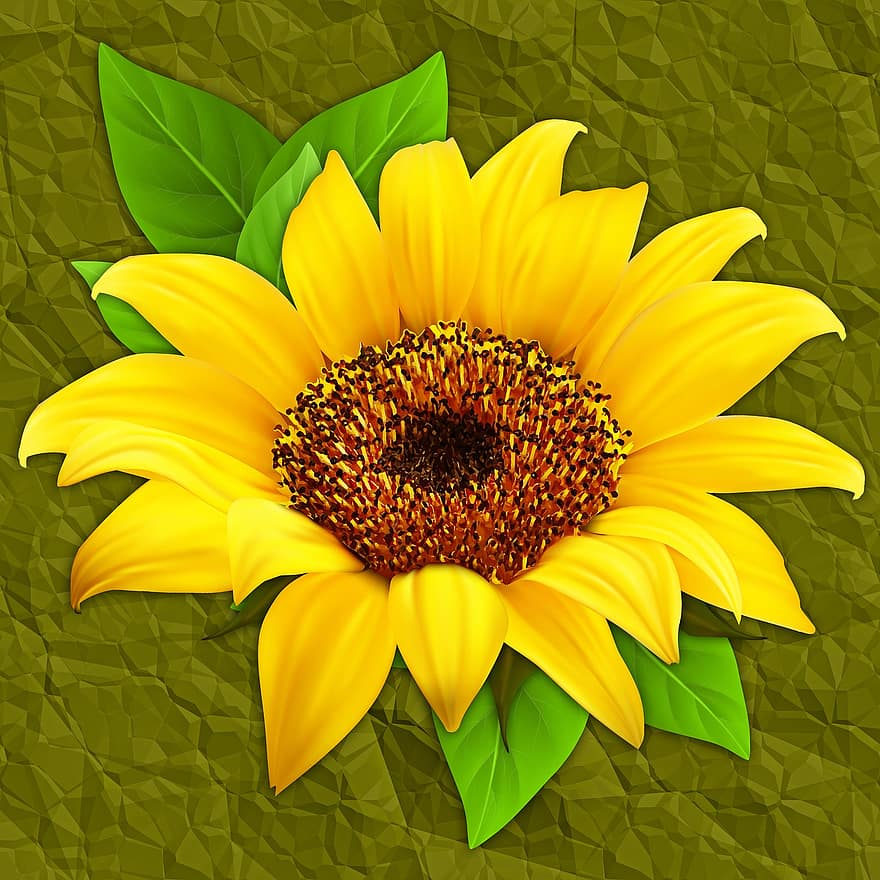 Nature, Flower, Plant, Sunflower, Background, Texture