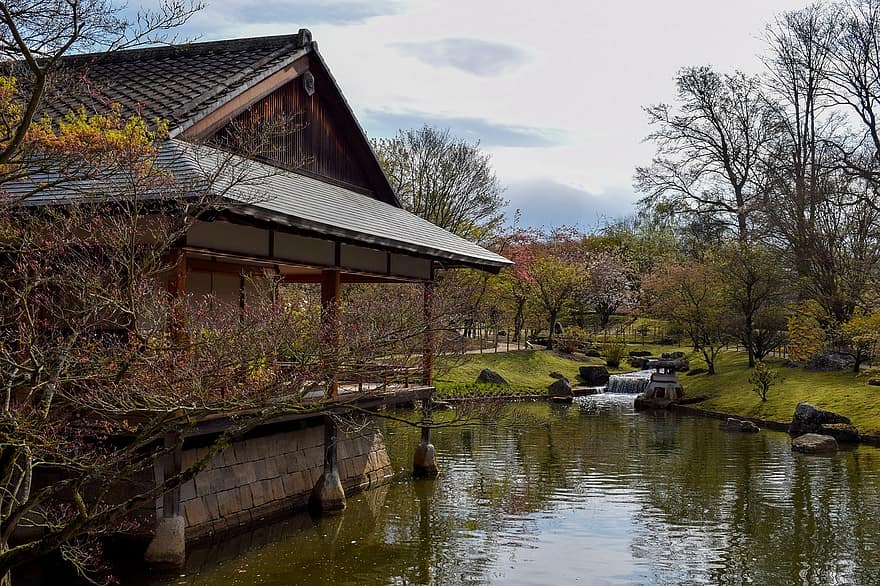 japansk have, Have i japansk stil, Dam, natur, have, Hasselt, træ, efterår, landlige scene, Skov, vand