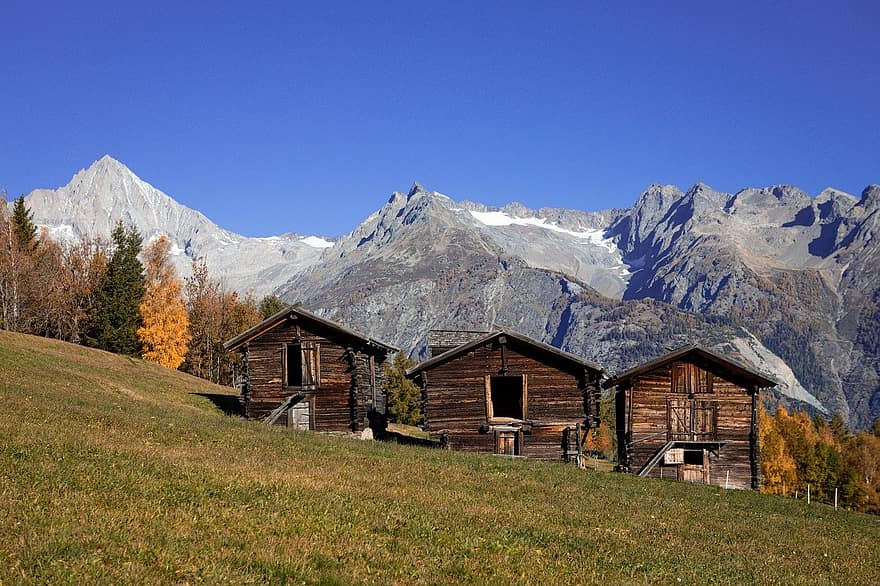 Sveits, fjellene, natur, høst, falle