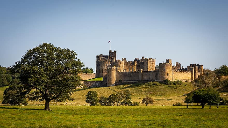 Alnwick Castle, Castle, Gothic Architecture, Architecture, Alnwick, Meadow, Northumberland, United Kingdom, history, old, rural scene