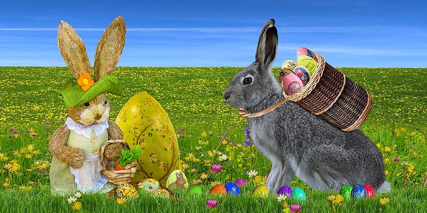 Pâques, lapin, des œufs, la nature, Contexte, lapin de Pâques, œufs de Pâques, surprise, fête de pâques