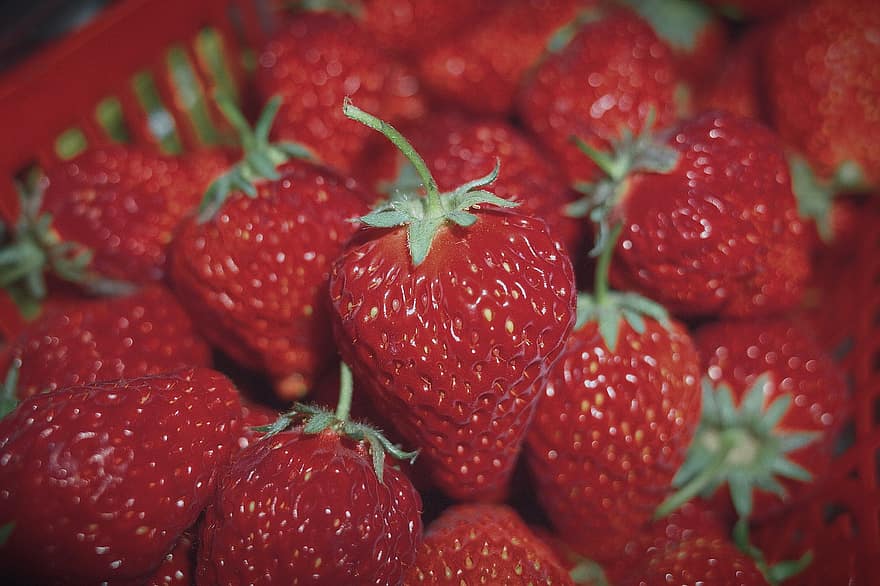 frugt, jordbær, rød, mad, organisk, snack, makro, friskhed, tæt på, moden, sund kost