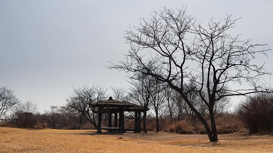 North To Park, Landscape, Tree, Grass, Park, Sangam-dong, I'm Not Even, Seoul, rural scene, old, architecture