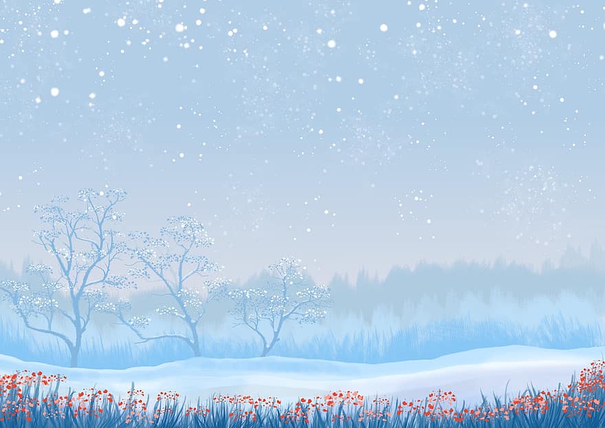 Ziemassvētki, sniegs, brīvdienas, debesis, ziemā, decembrī, auksts, koki, augiem, ziedi, ziedu