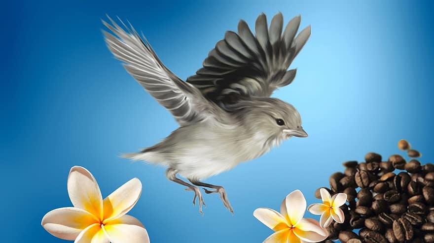 kuş, minik kuş, doğa, tropikal kuşlar, sinek, çiçek, Çiçekler, sarı çiçek, tahıl, kahve çekirdekleri, gökyüzü