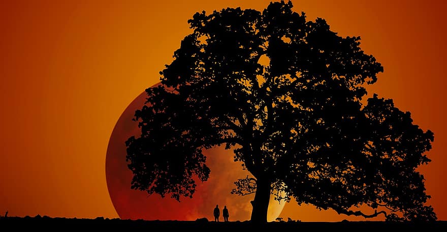 Tree, Moon, Silhouette, Landscape, Nature, Night, Dusk, Sky, Evening, People, Scenic
