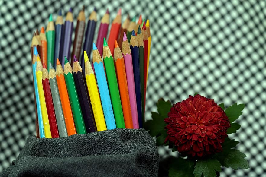 çiçek, krizantem, renkli kalemler, kalem, renkli, sanat eseri