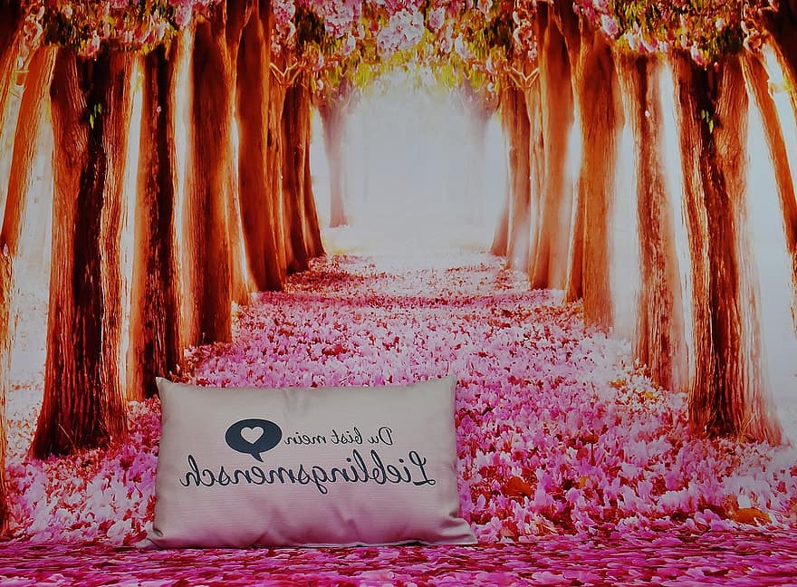 Valentine's Day, Love, Favorite Human, Pillow, Forest, Avenue, Greeting Card, Romantic, Connectedness